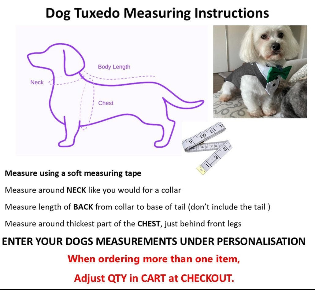 Wedding Dog Tuxedo: Custom-made, Dog Wedding Outfit, Choice of Colours, All Sizes