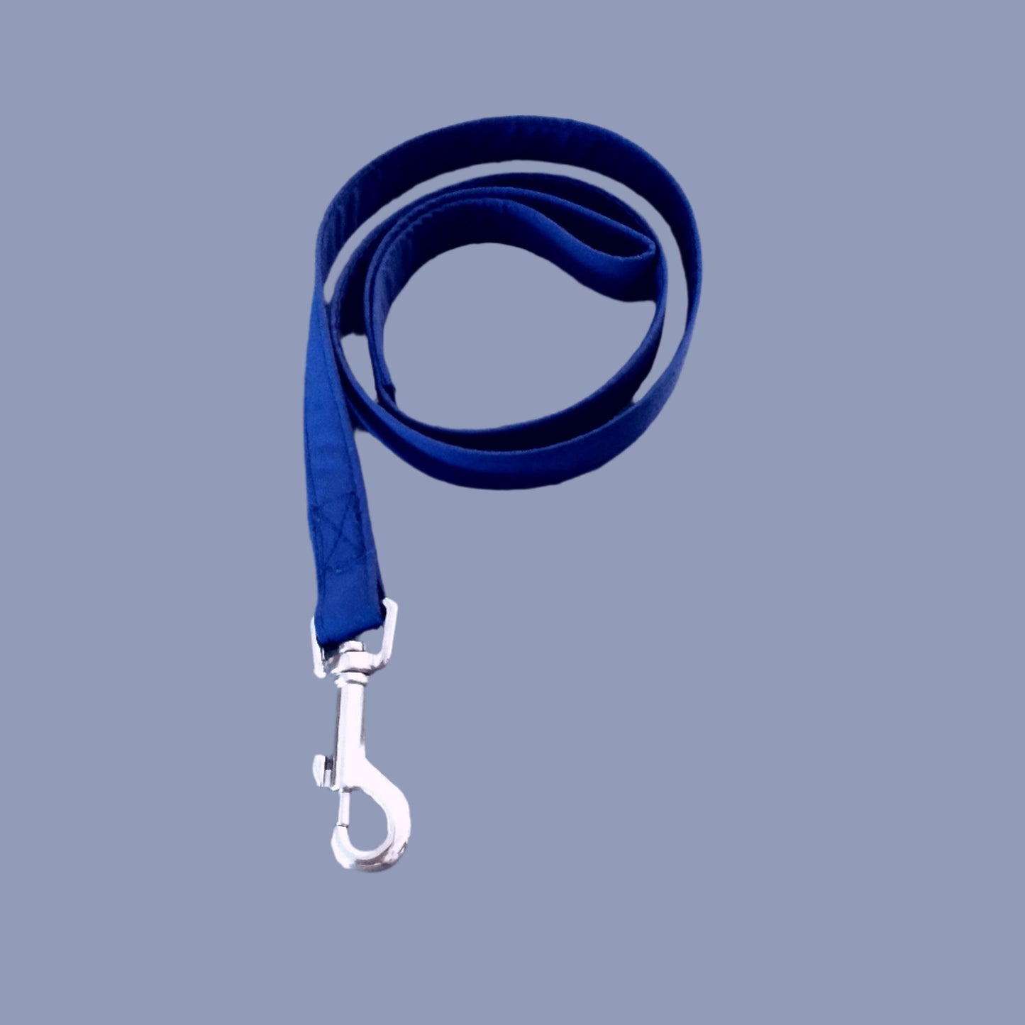 Matching Dog Leash Add-On Item