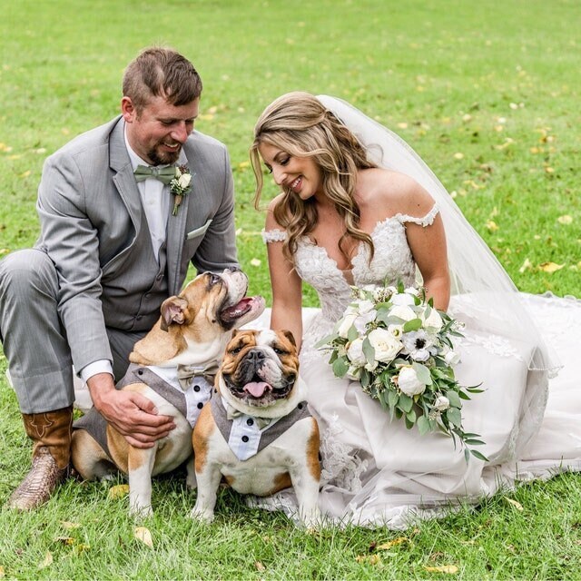 Dog Tuxedo Suit for Weddings, Customisable, Choice of Colours