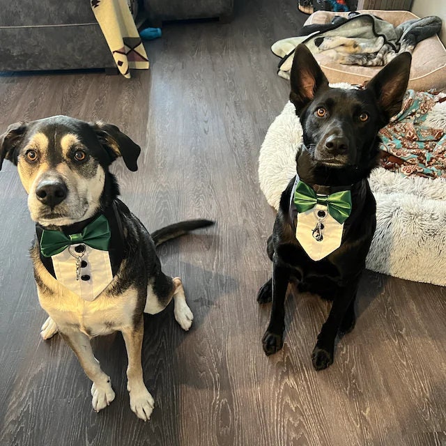 Ring Bearer Dog Tuxedo Bandana: Heart Ring Clip, Sizes XS to XL