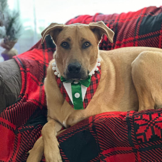 Christmas Dog Elf Bandana in Red Tartan, Christmas Dog Outfit, Slides over Collar