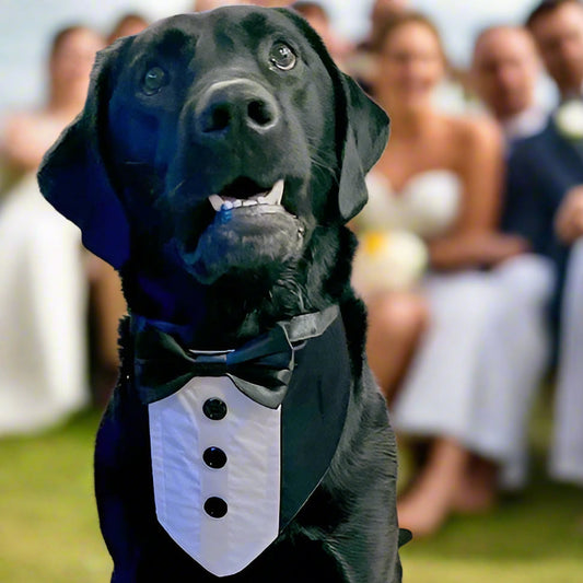 Tuxedo Wedding Dog Bandana: Custom Satin Ties, Personalized Dog Name