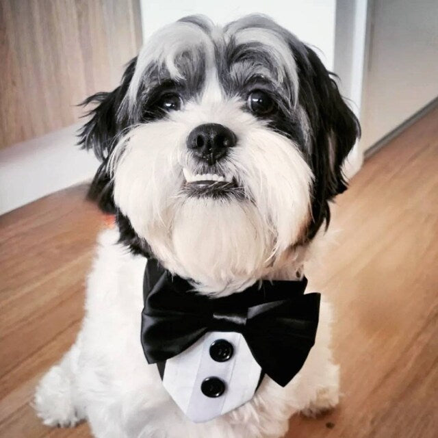 Wedding Dog Tuxedo Bandana: Black Satin Ties, Custom Colours
