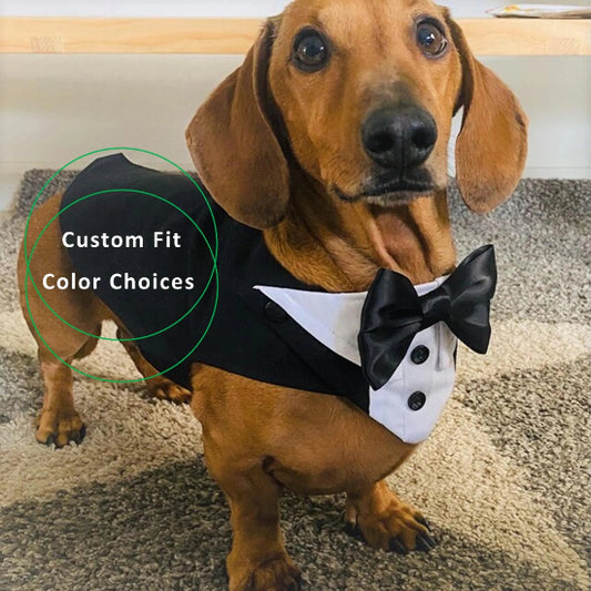 Dog Wedding Tuxedo, Tailor-made, Custom-Fit, Formal Dog Tuxedo