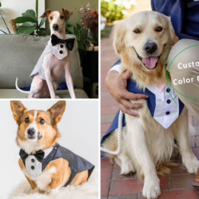 Dog Tuxedo Suit for Weddings, Customisable, Choice of Colours