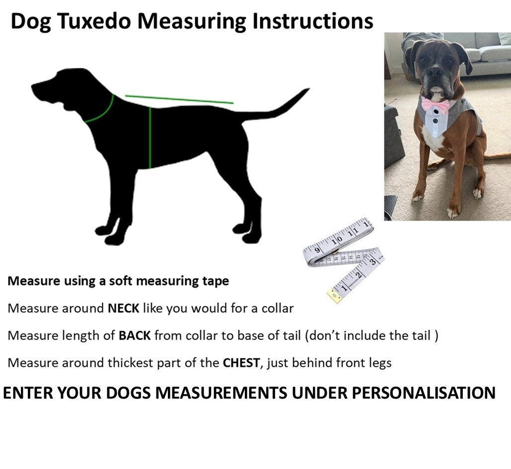Dog Tuxedo Suit for Weddings, Customisable, Choice of Colours