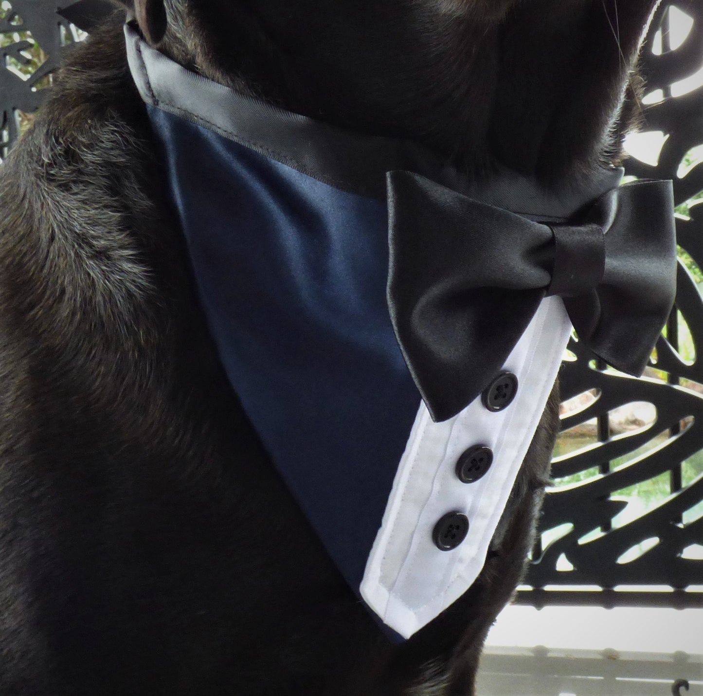Wedding Dog Tuxedo Bandana: Black Satin Ties, Custom Colours