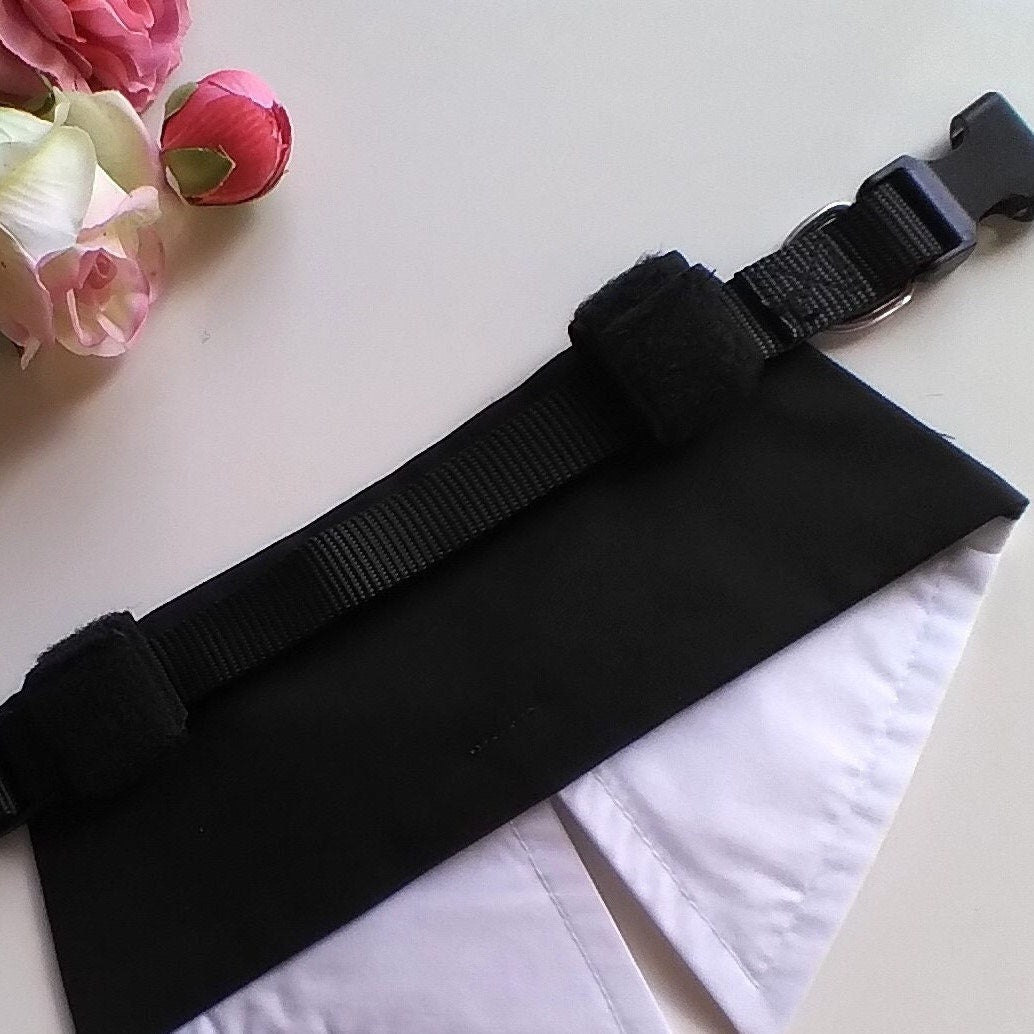 Dog Wedding Bow Tie Collar, Personalised Best Dog Tuxedo Bandana, Colour Choices