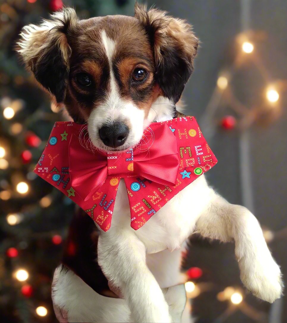Christmas Dog, Bow Tie Collar Bandanas, All Sizes