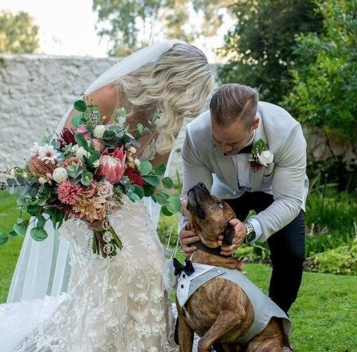Wedding Dog Attire