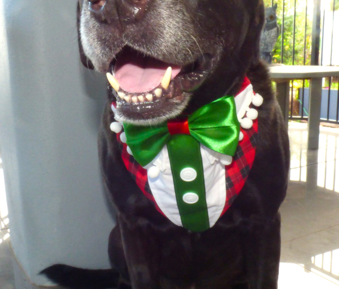 Christmas Elf Dog Bandana in Red Tartan that Slides over Collar