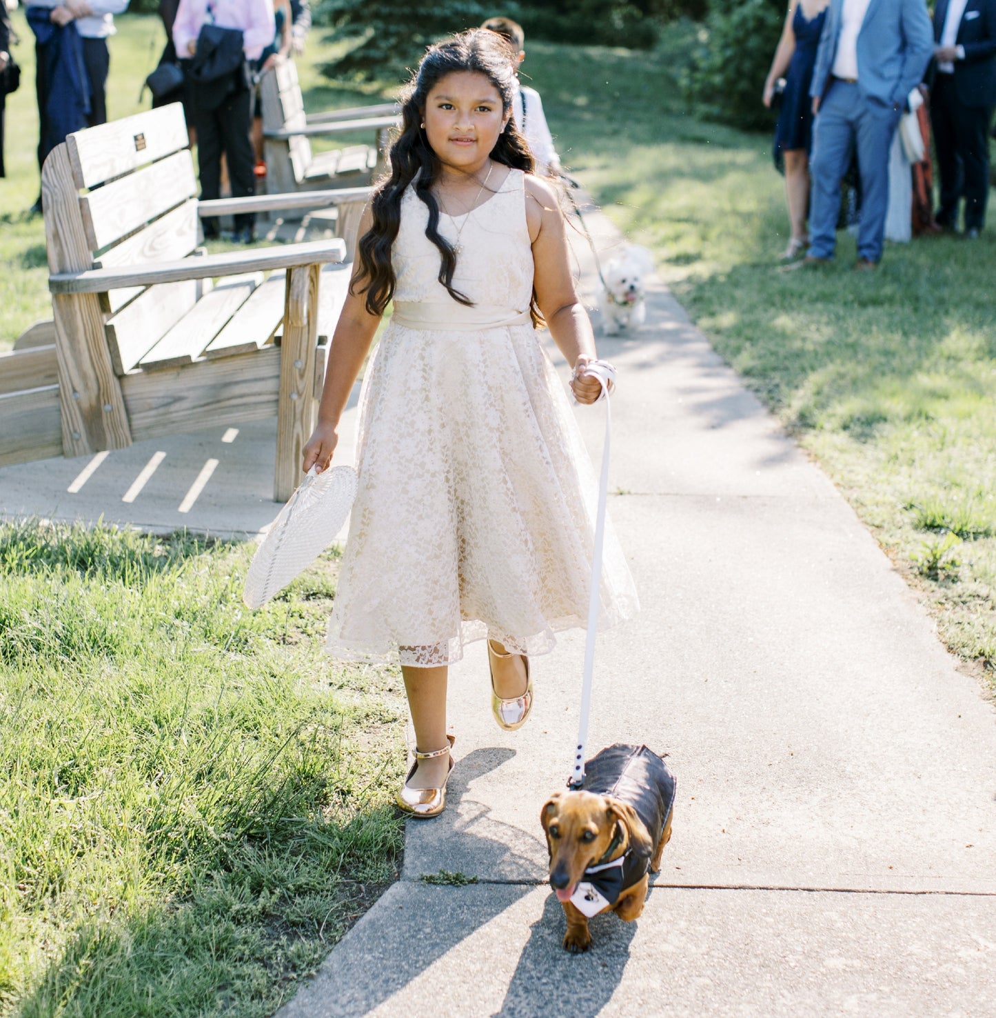 Satin Dog Wedding Tuxedo with Split Tails and Optional Ring Clip. Made to Measure.