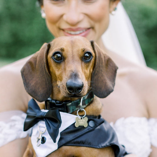 Satin Dog Wedding Tuxedo with Split Tails and Optional Ring Clip. Made to Measure.