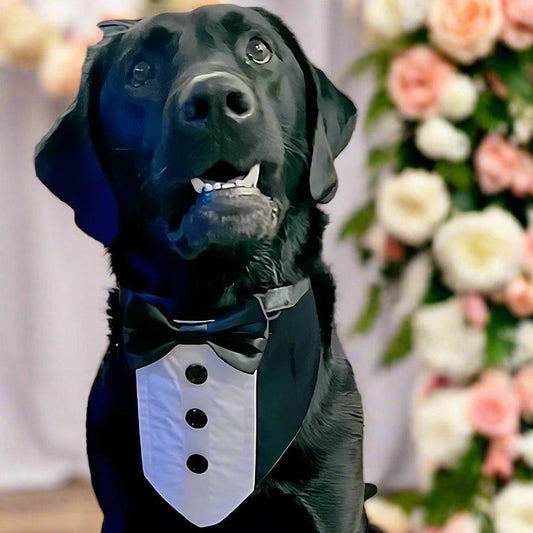 Dog Wedding Tuxedo Bandana with Satin Ties, Dog of Honour, Add Dog's Name, XS to XL