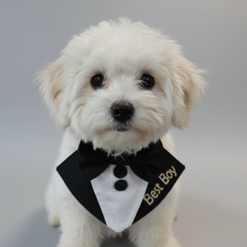 Personalised Dog Tuxedo Bandana, Wedding Dog Outfit, Custom Colours