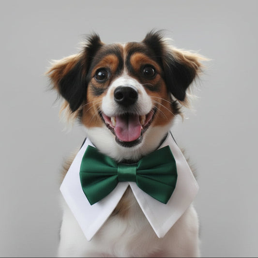 Dog Wedding Bow Tie Collar, Personalised Best Dog Tuxedo Bandana, Colour Choices
