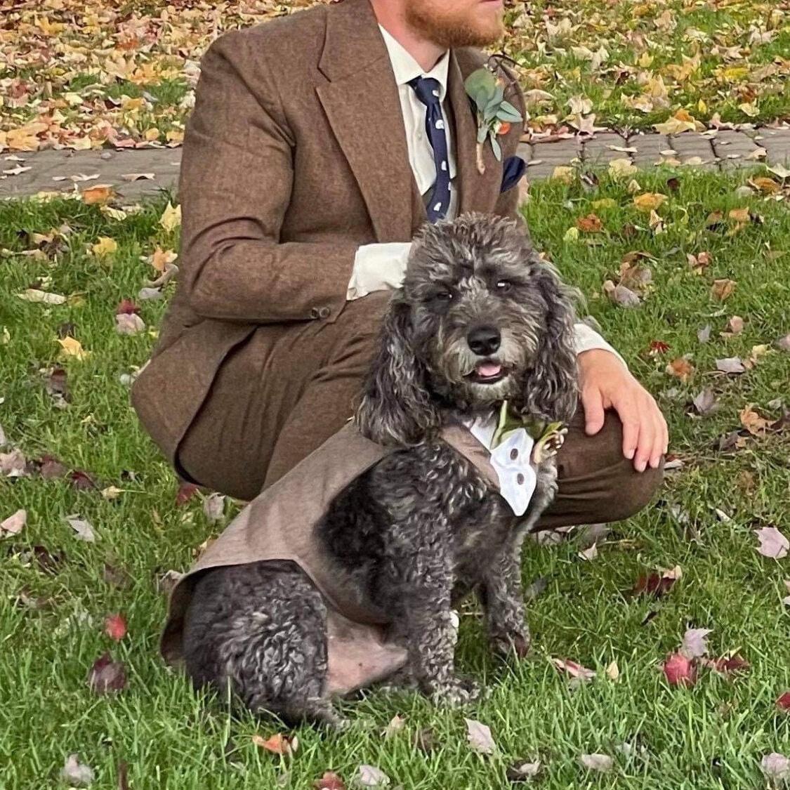 Dog Tuxedo Suit for Weddings, Customisable, Choice of Colours