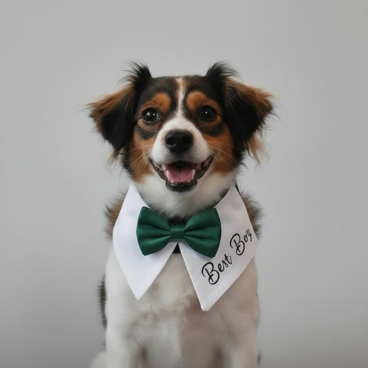 Dog Wedding Bow Tie Collar, Personalised Text, Tuxedo Dog Collar, Colour Choices