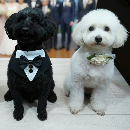 Personalised Dog Tuxedo Bandana, Wedding Dog Outfit, Custom Colours