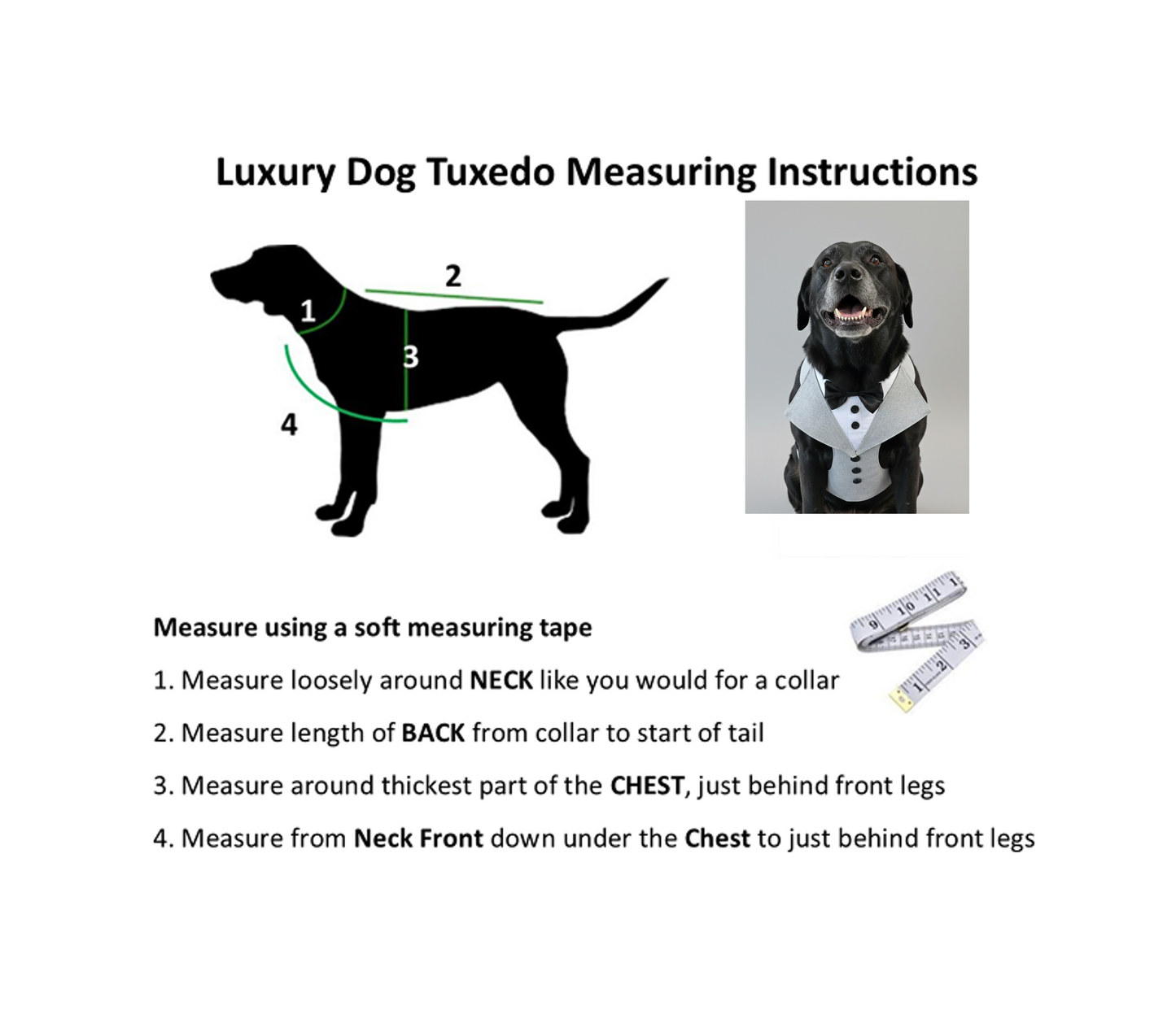 Custom Dog Tuxedo Harness | Luxury Wedding Harness for Dogs | Tailored to Fit All Sizes