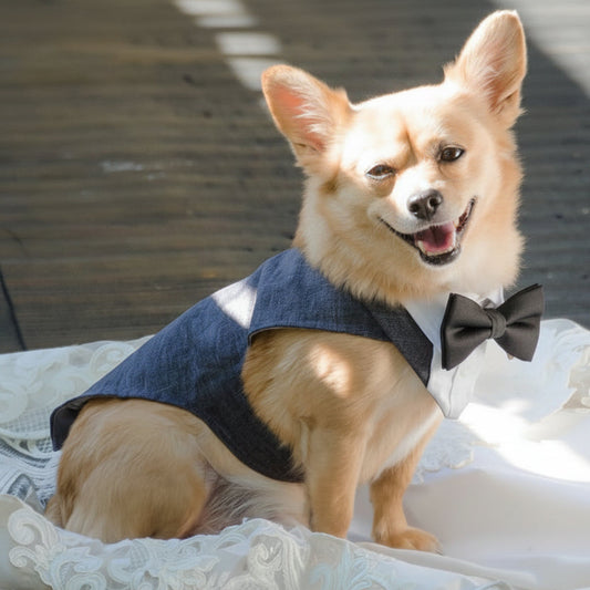 Custom Made, Wedding Dog Tuxedo, Satin Bow Tie, Colour Options, All Size Dogs