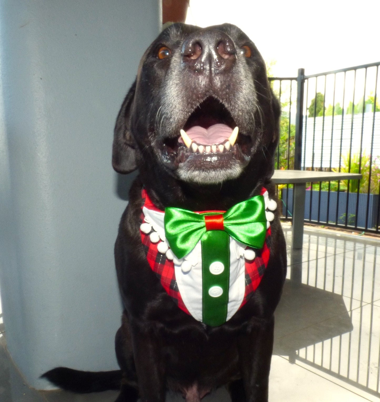 Christmas Elf Dog Bandana in Red Tartan that Slides over Collar