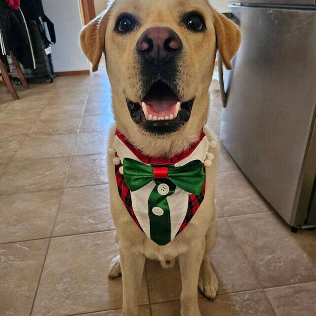 Christmas Elf Dog Bandana in Red Tartan that Slides over Collar