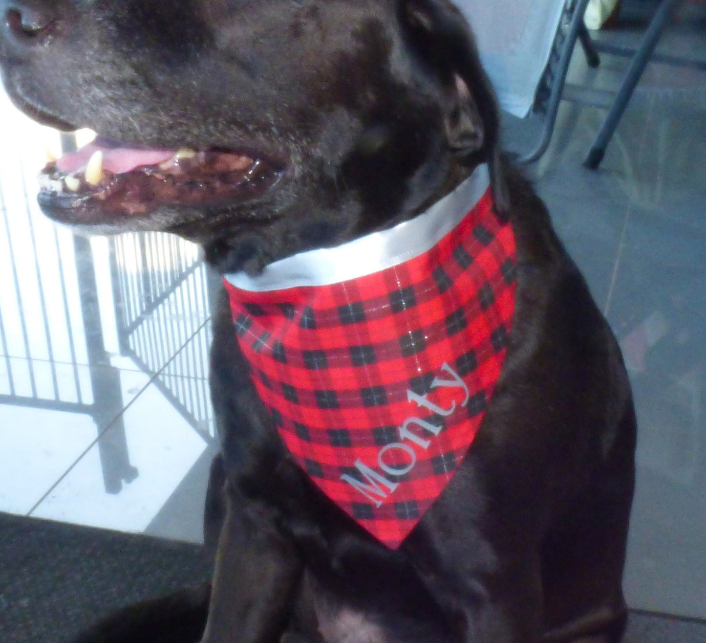 Red Christmas Tartan Dog Bandana with Silver Satin Ties & Optional Dog's Name