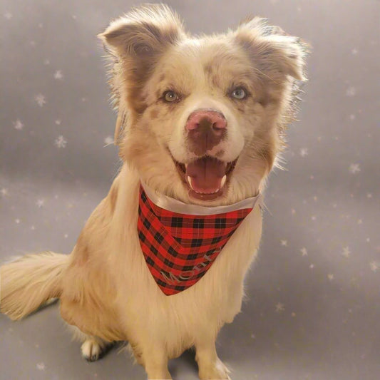 Red Christmas Tartan Dog Bandana with Silver Satin Ties & Optional Dog's Name