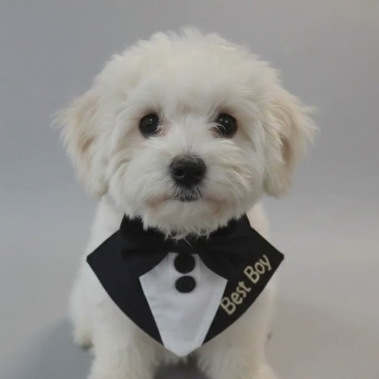 Personalised Dog Tuxedo Bandana, Wedding Dog Outfit, Custom Colours